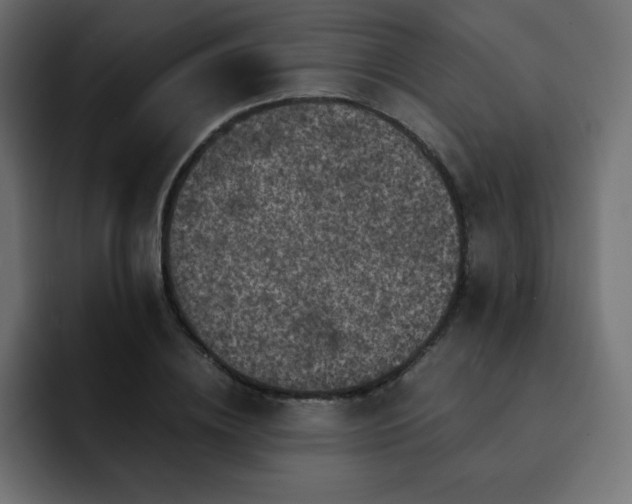 X0000093120836200710031332