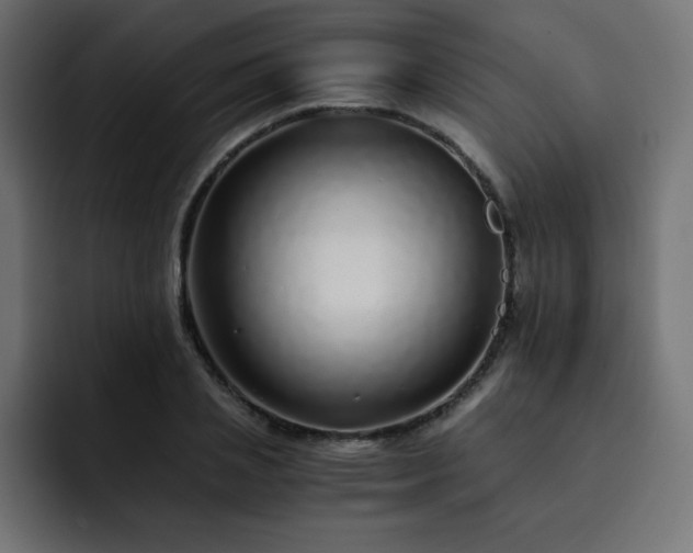 X0000093120837200710031332