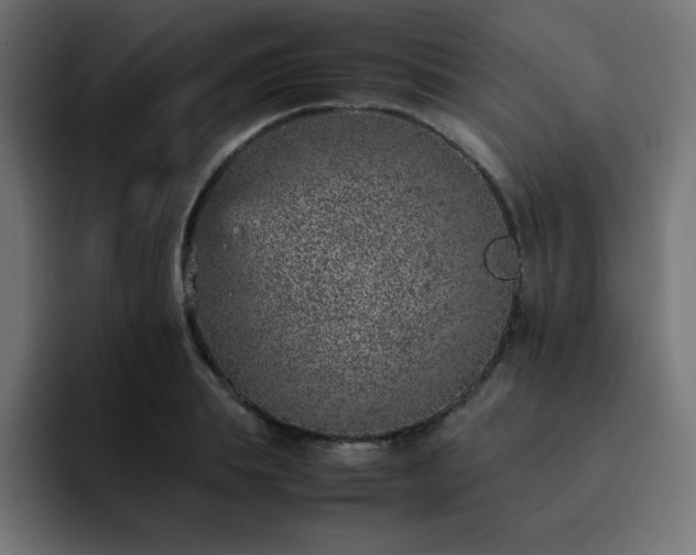 X0000093120839200710031332