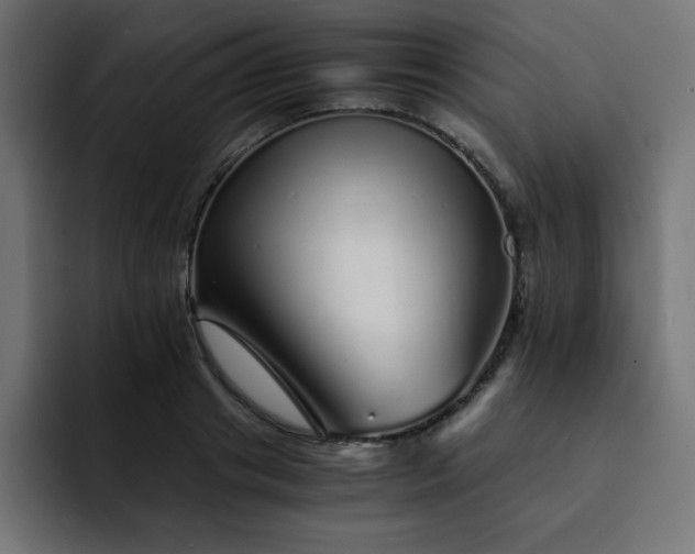 X0000093120841200710031332