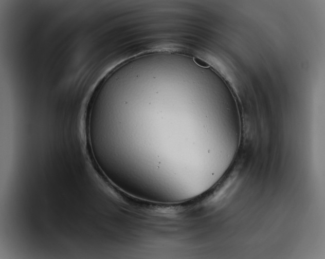 X0000093120843200710031332