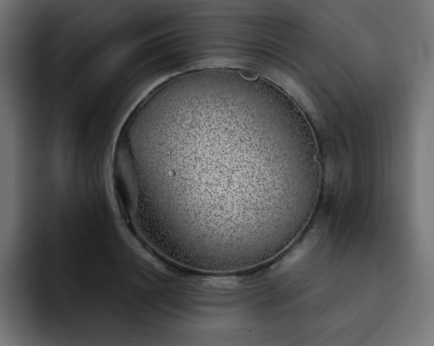 X0000093120844200710031332