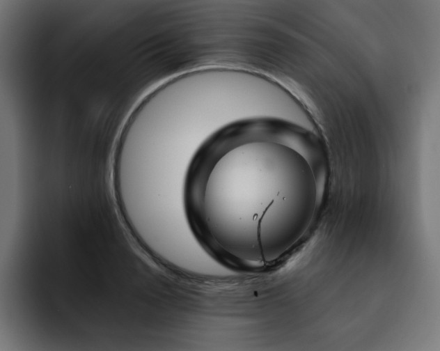 X0000093120846200710031332
