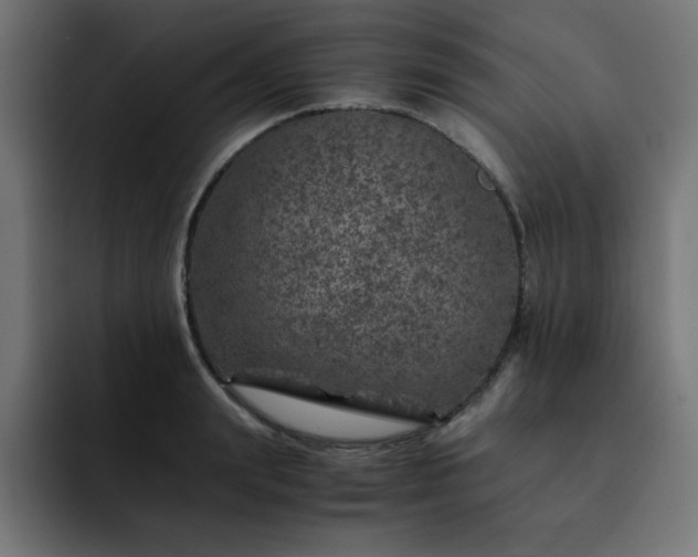 X0000093120847200710031332
