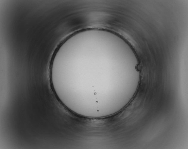 X0000093120848200710031332