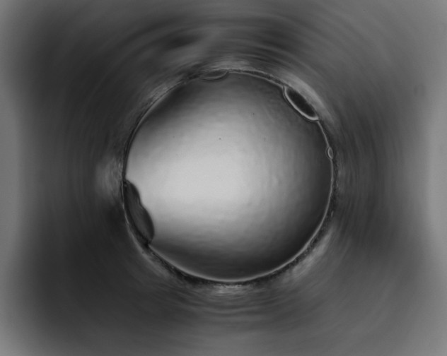 X0000093120849200710031332