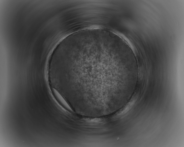 X0000093120851200710031332