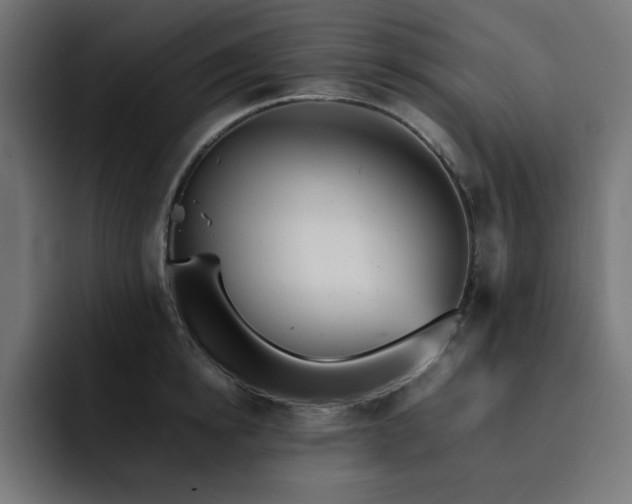 X0000093120854200710031332