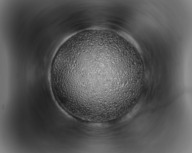 X0000093120855200710031332