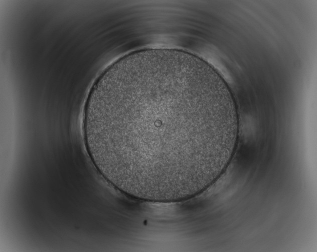 X0000093120856200710031333