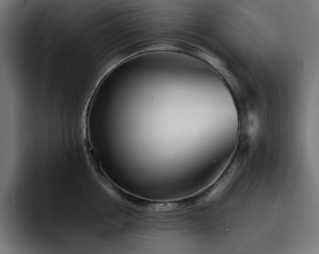 X0000093120858200710031333