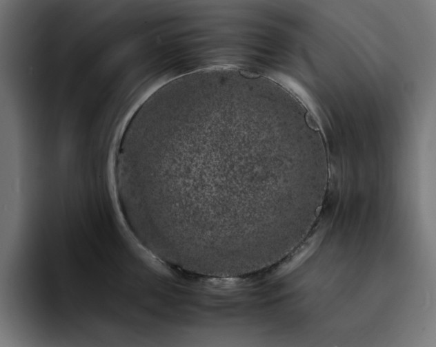 X0000093120859200710031333