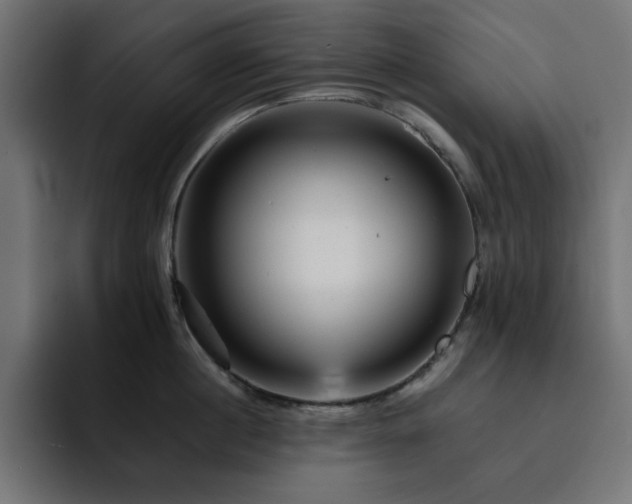 X0000093120860200710031333