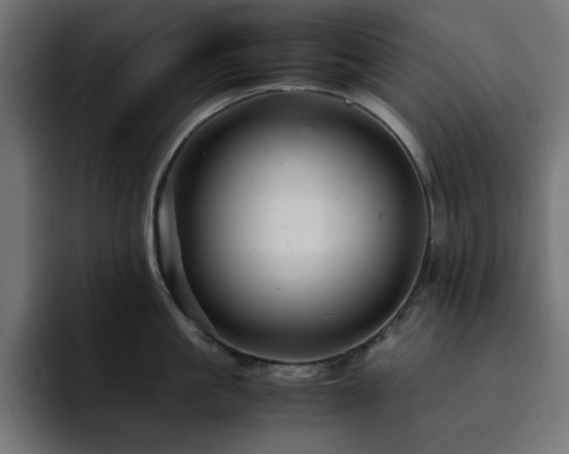 X0000093120861200710031333