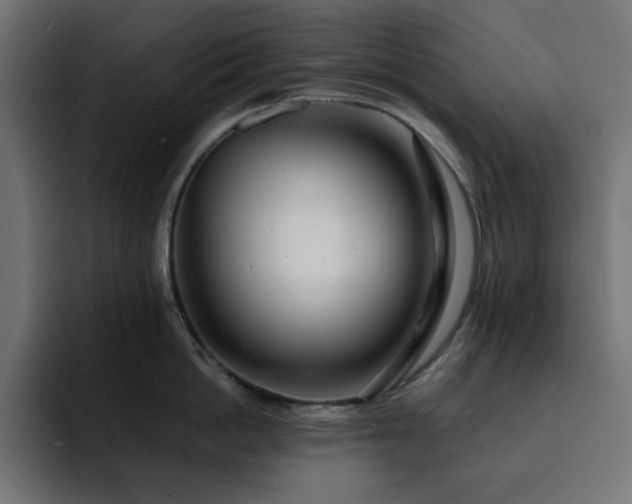 X0000093120862200710031333
