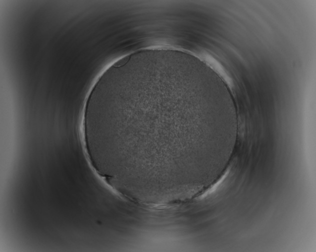 X0000093120863200710031333