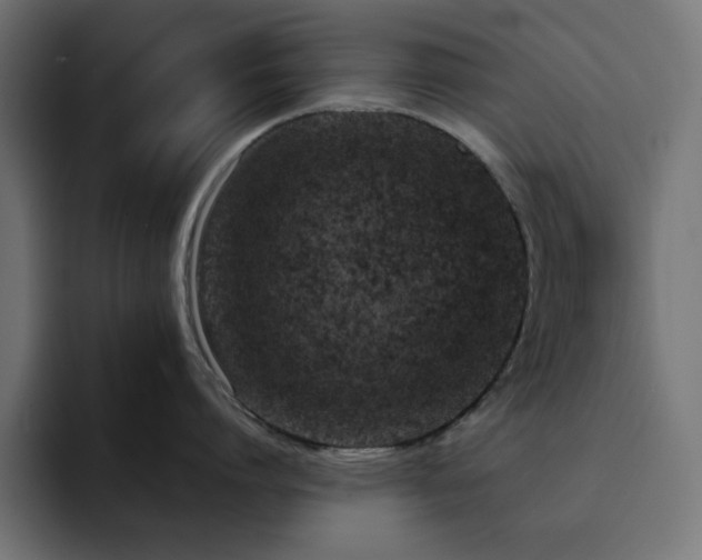 X0000093120864200710031333