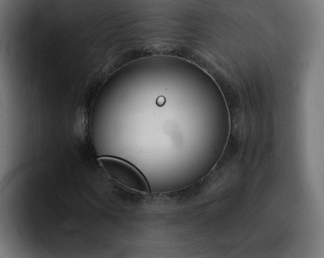 X0000093120866200710031332