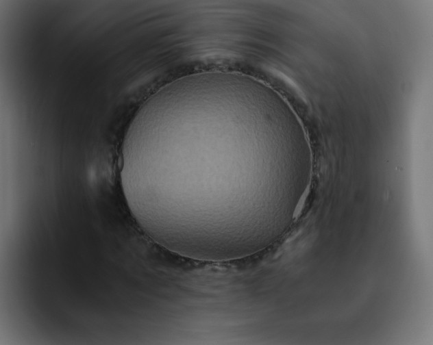 X0000093120869200710031332