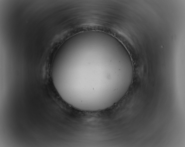 X0000093120870200710031332