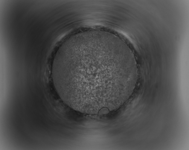 X0000093120871200710031332