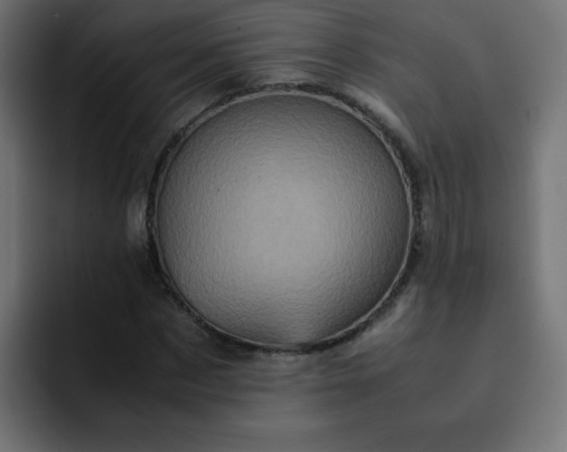 X0000093120873200710031332