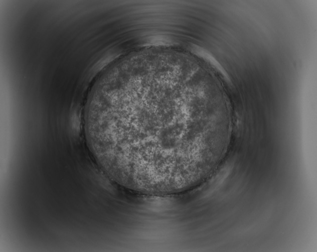 X0000093120874200710031332