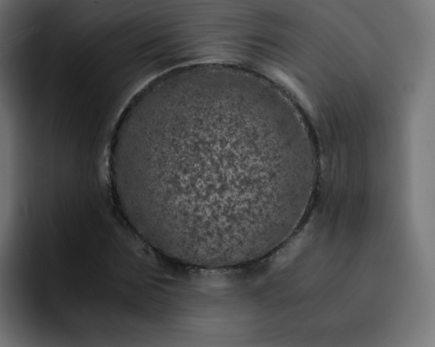 X0000093120875200710031332