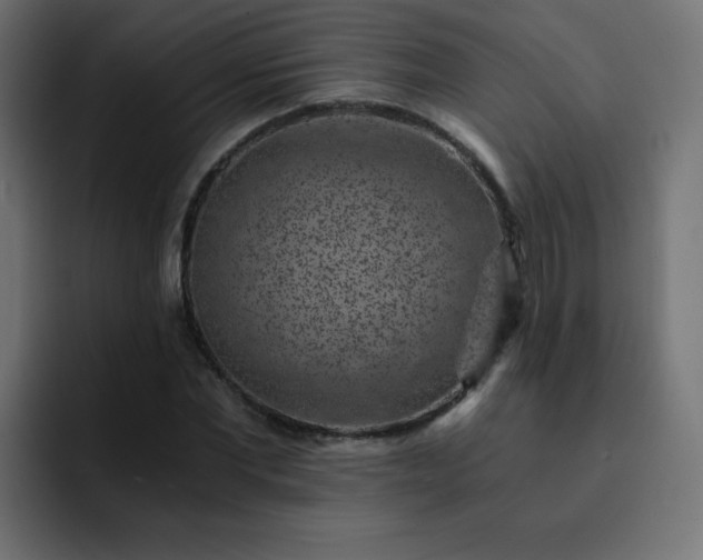 X0000093120877200710031332