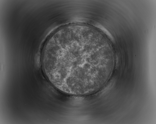 X0000093120878200710031332