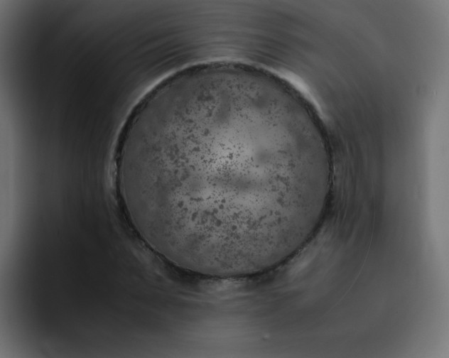 X0000093120879200710031332