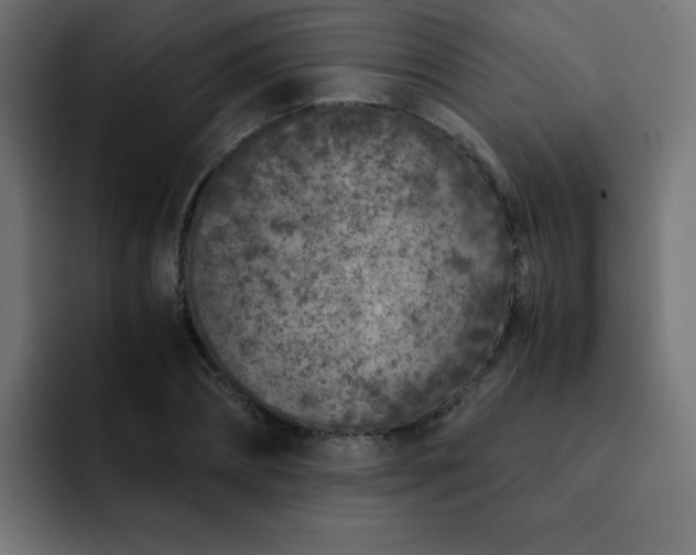 X0000093120882200710031332