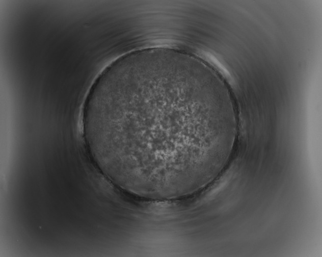 X0000093120883200710031332