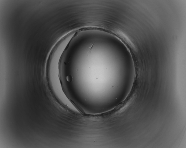X0000093120884200710031332