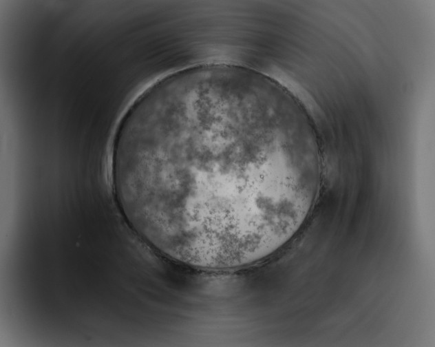 X0000093120886200710031332