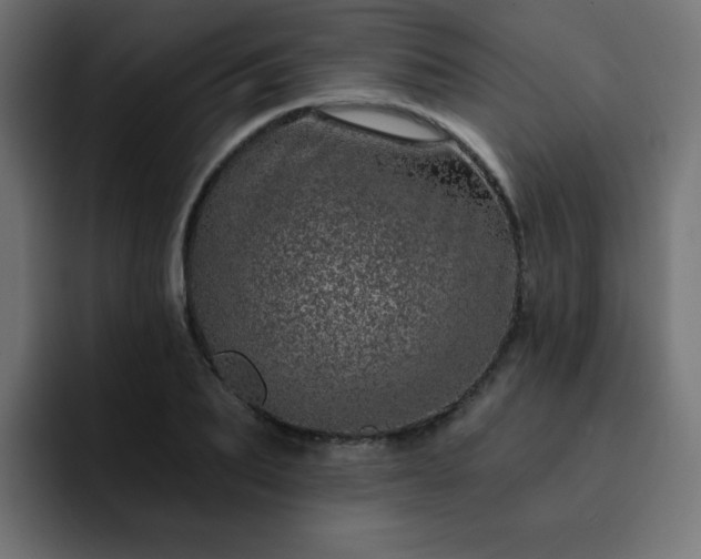 X0000093120887200710031332