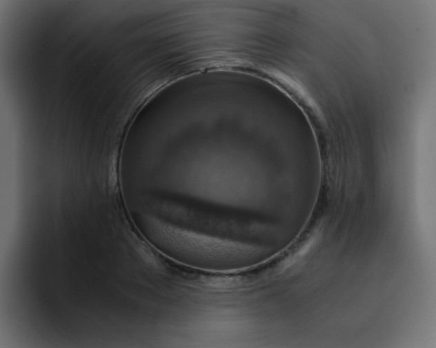 X0000093120889200710031332