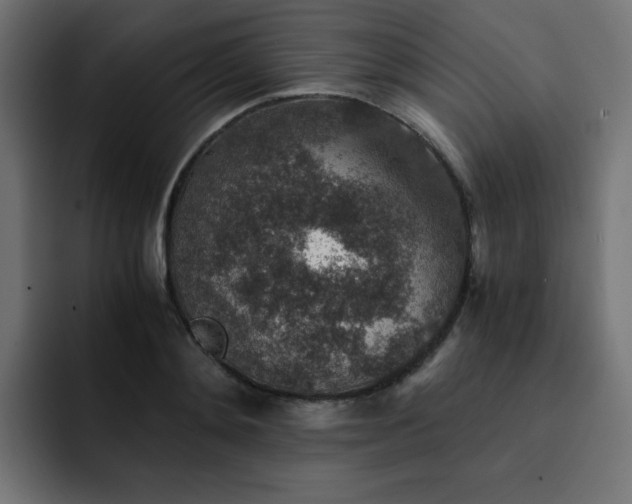 X0000093120892200710031332