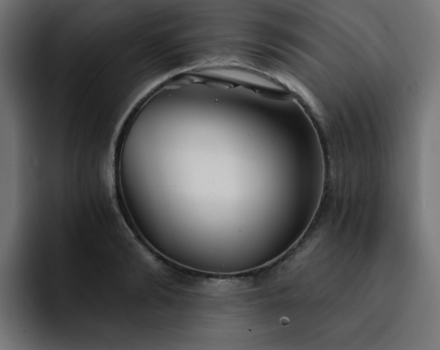 X0000093120894200710031332