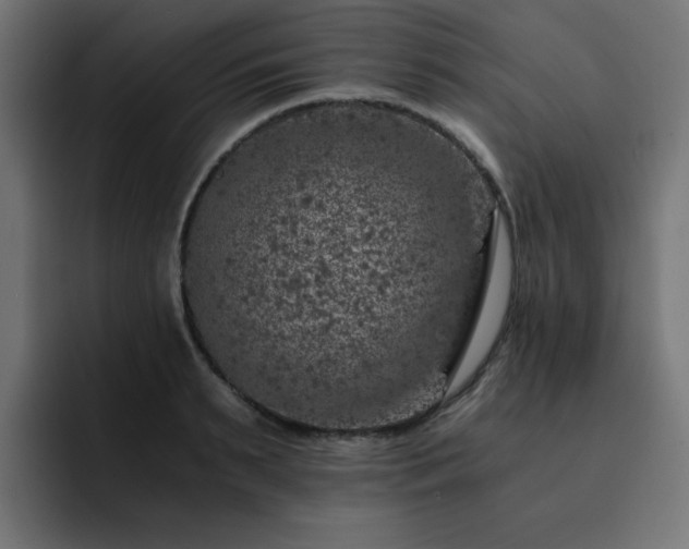 X0000093120895200710031332