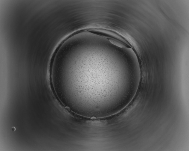 X0000093120896200710031332