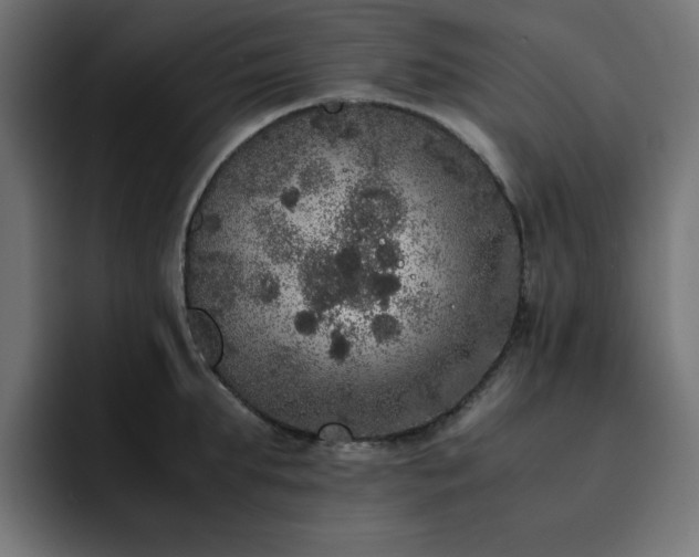 X0000093120903200710031332