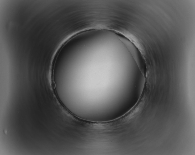 X0000093120904200710031332