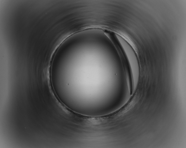 X0000093120906200710031332