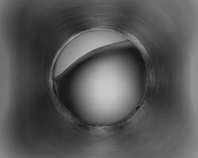 X0000093120908200710031332