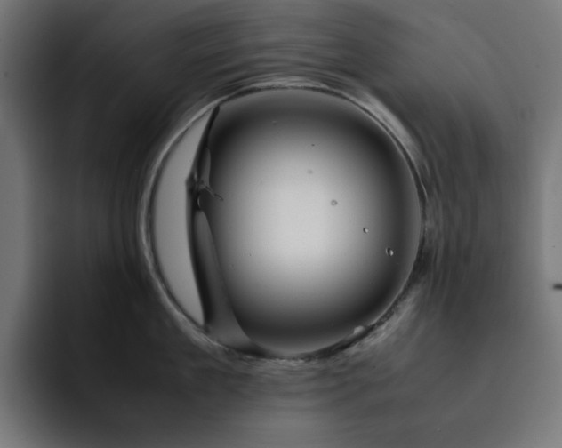 X0000093120909200710031332