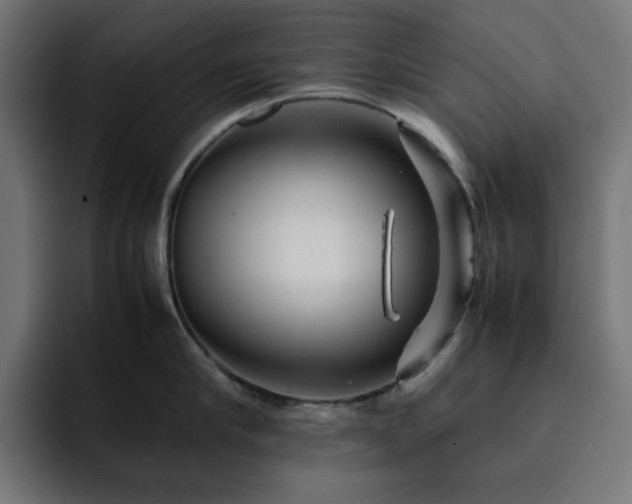 X0000093120910200710031332