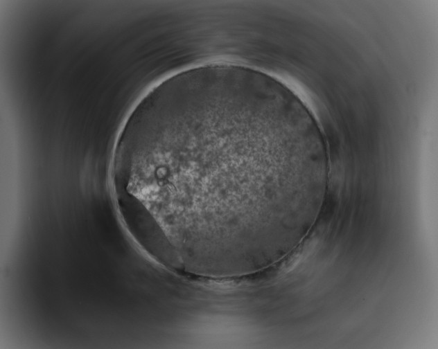 X0000093120911200710031332