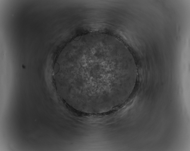 X0000093120913200710031331