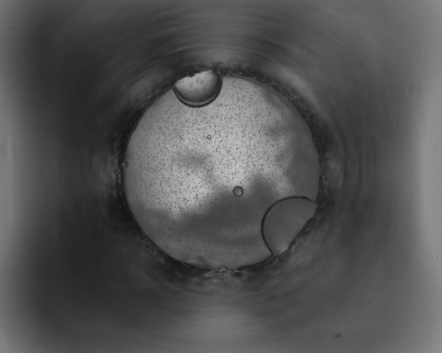 X0000093120918200710031331